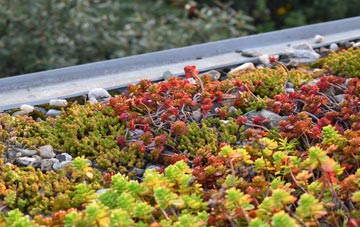 the cost of Pickmere green roof installation